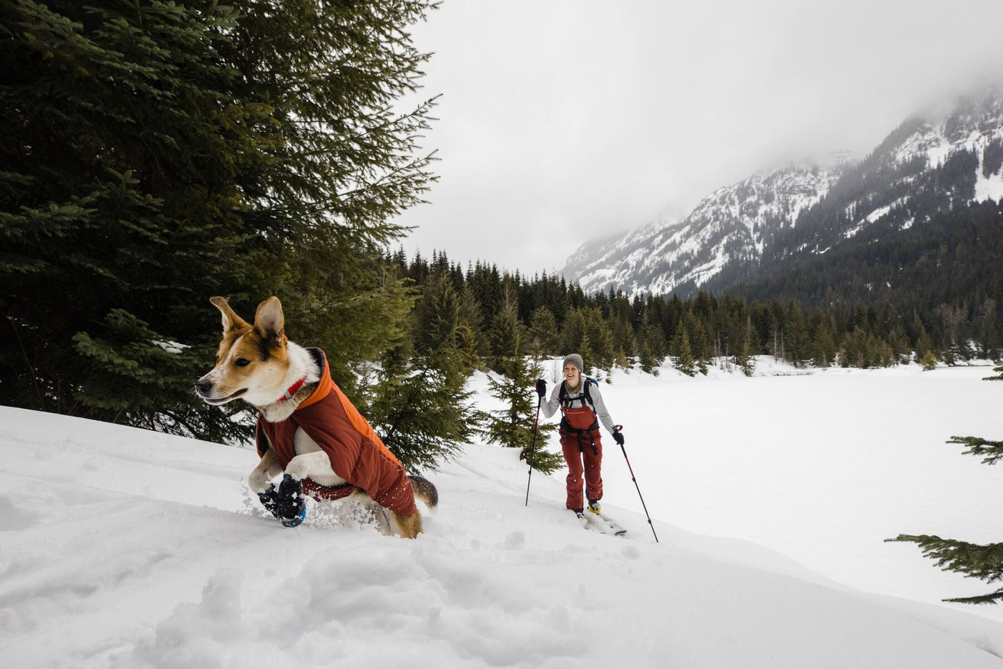 Ruffwear Vert Jacket