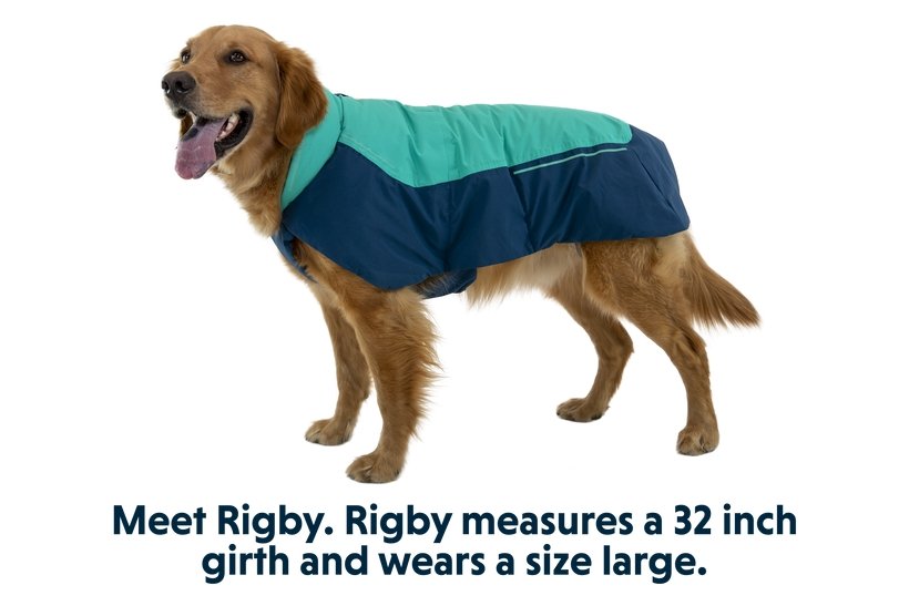 Ruffwear Vert Jacket Aurora Teal