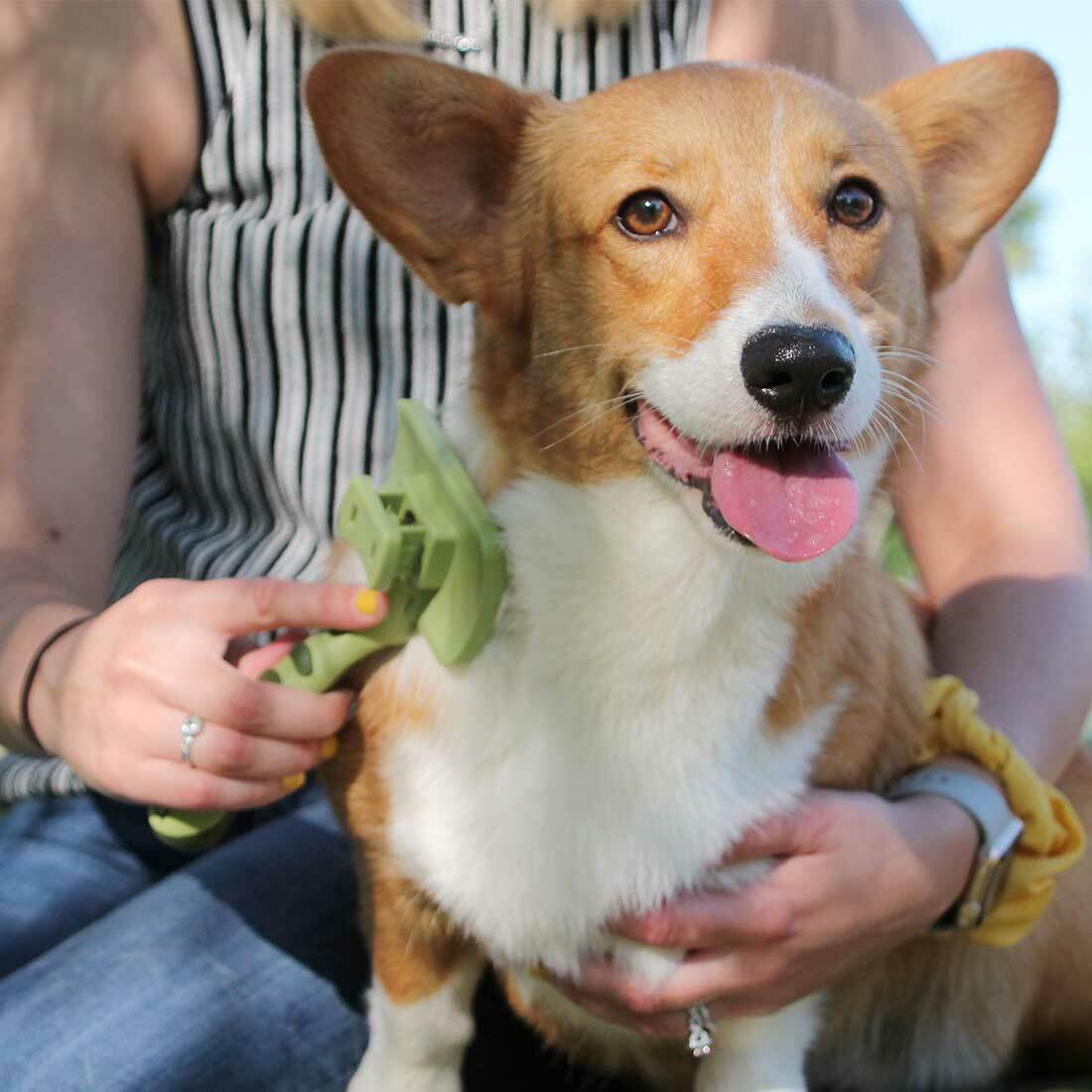 Safari Brushes/Combs Med Self-Cleaning Slicker