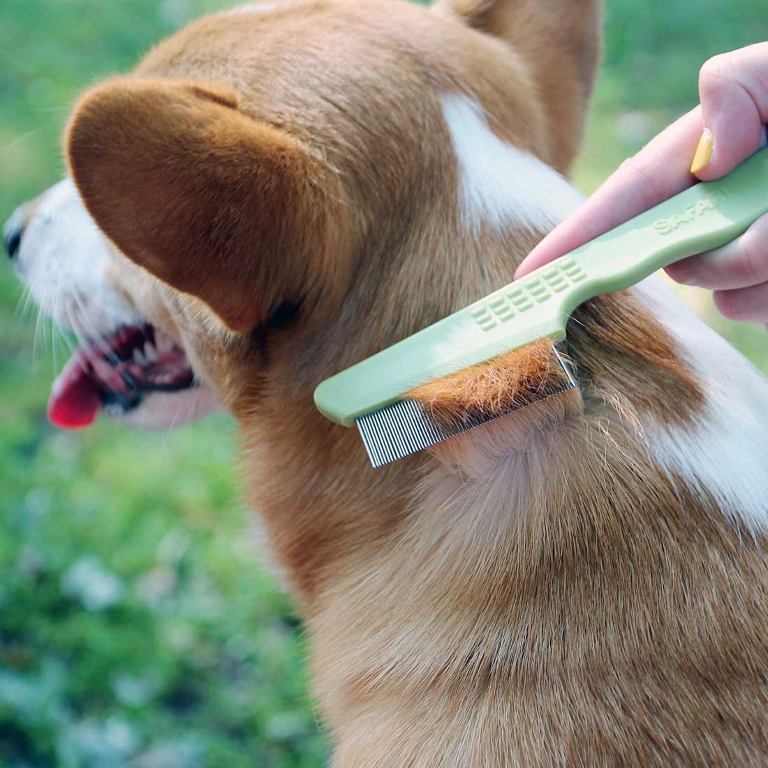 Safari Flea Comb Cat