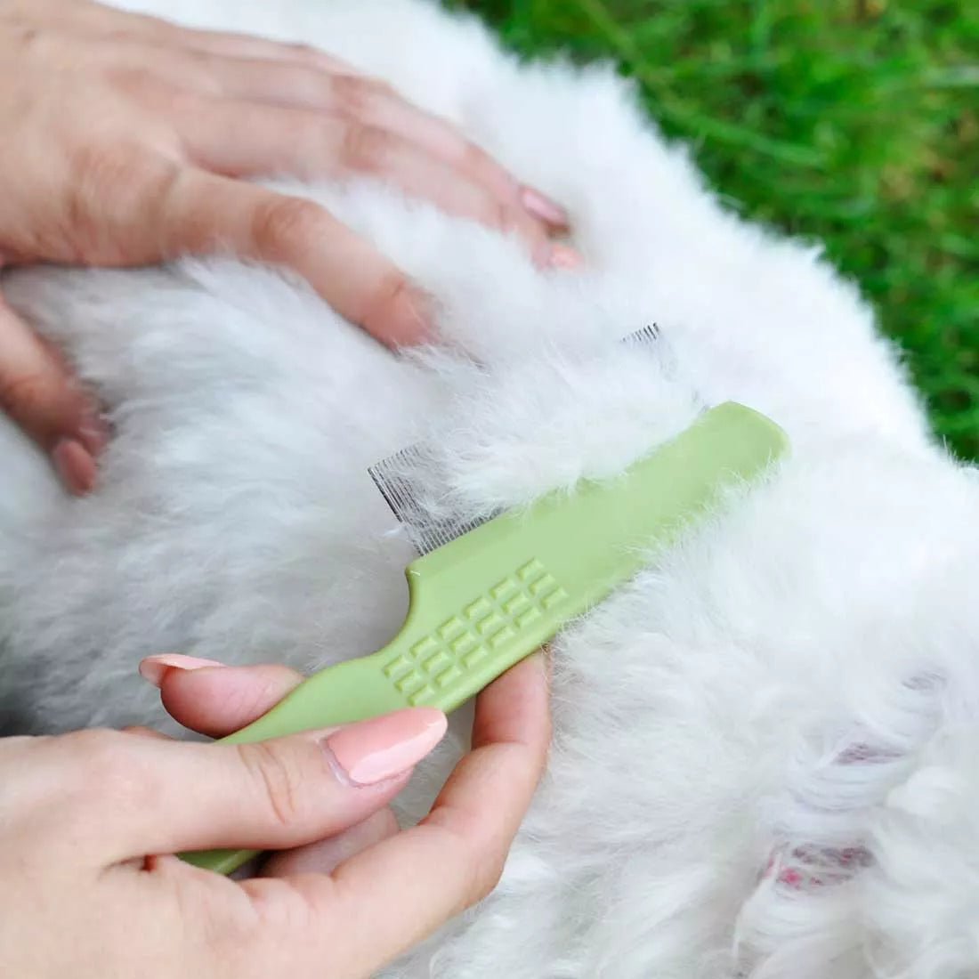Safari Flea Comb Dog Long
