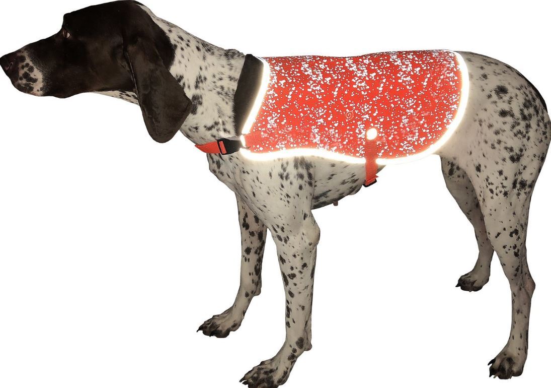 Alcott Visibility Vests