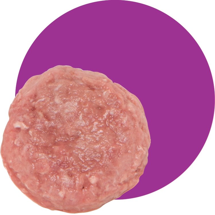 Small Batch Frozen Raw Dog Food Blends 2lb Brick Turkey