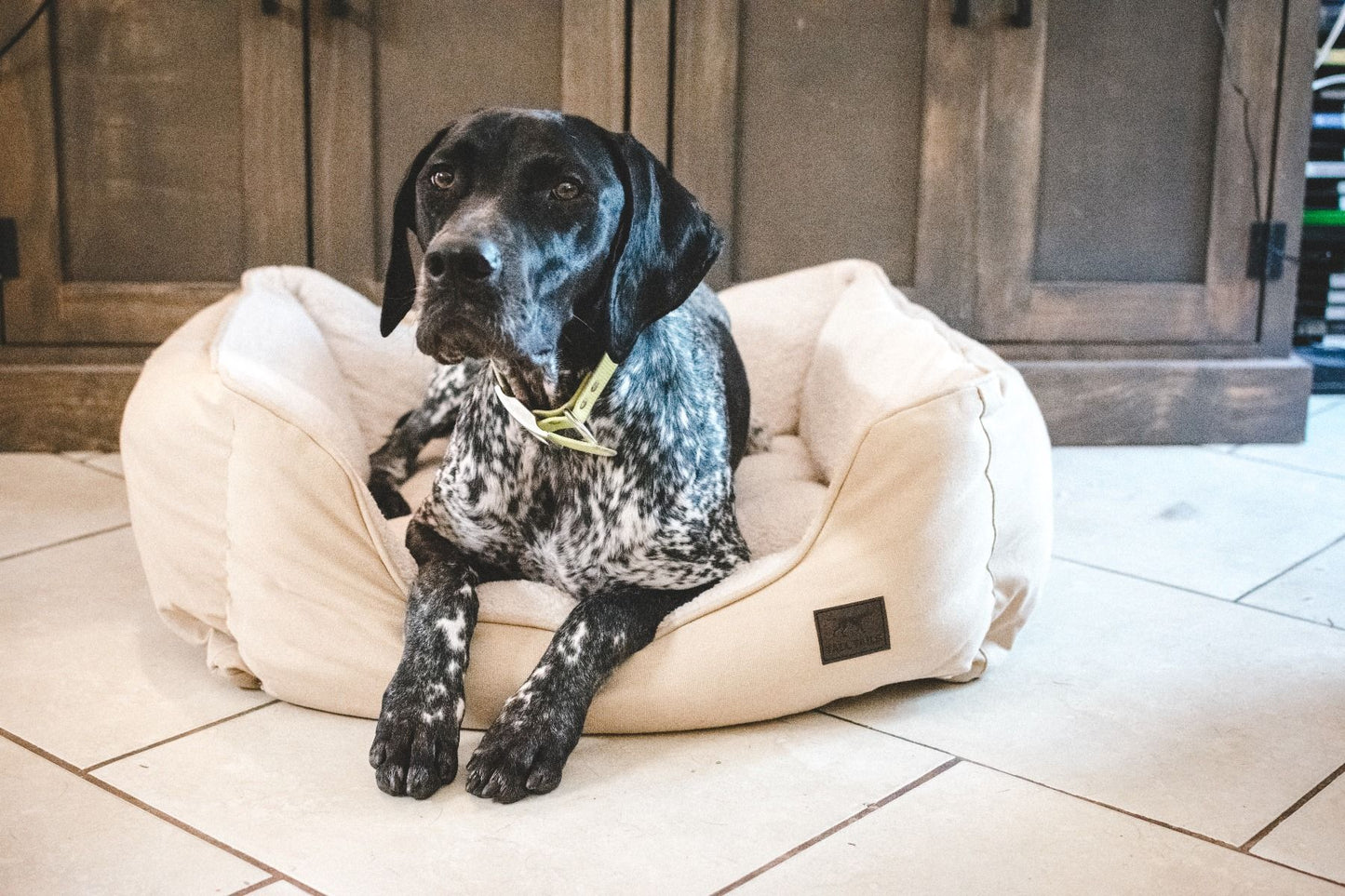 Tall Tails Bolster Beds - Happy Hounds Pet Supply