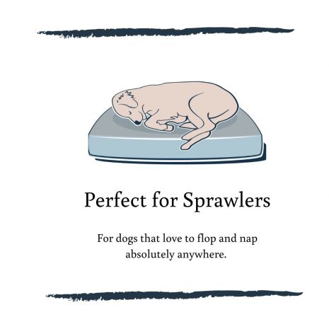 Tall Tails Cushion Beds Charcoal