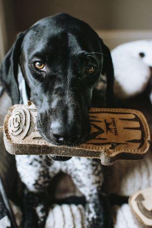 Tall Tails Leather Toys Love My Dog Log