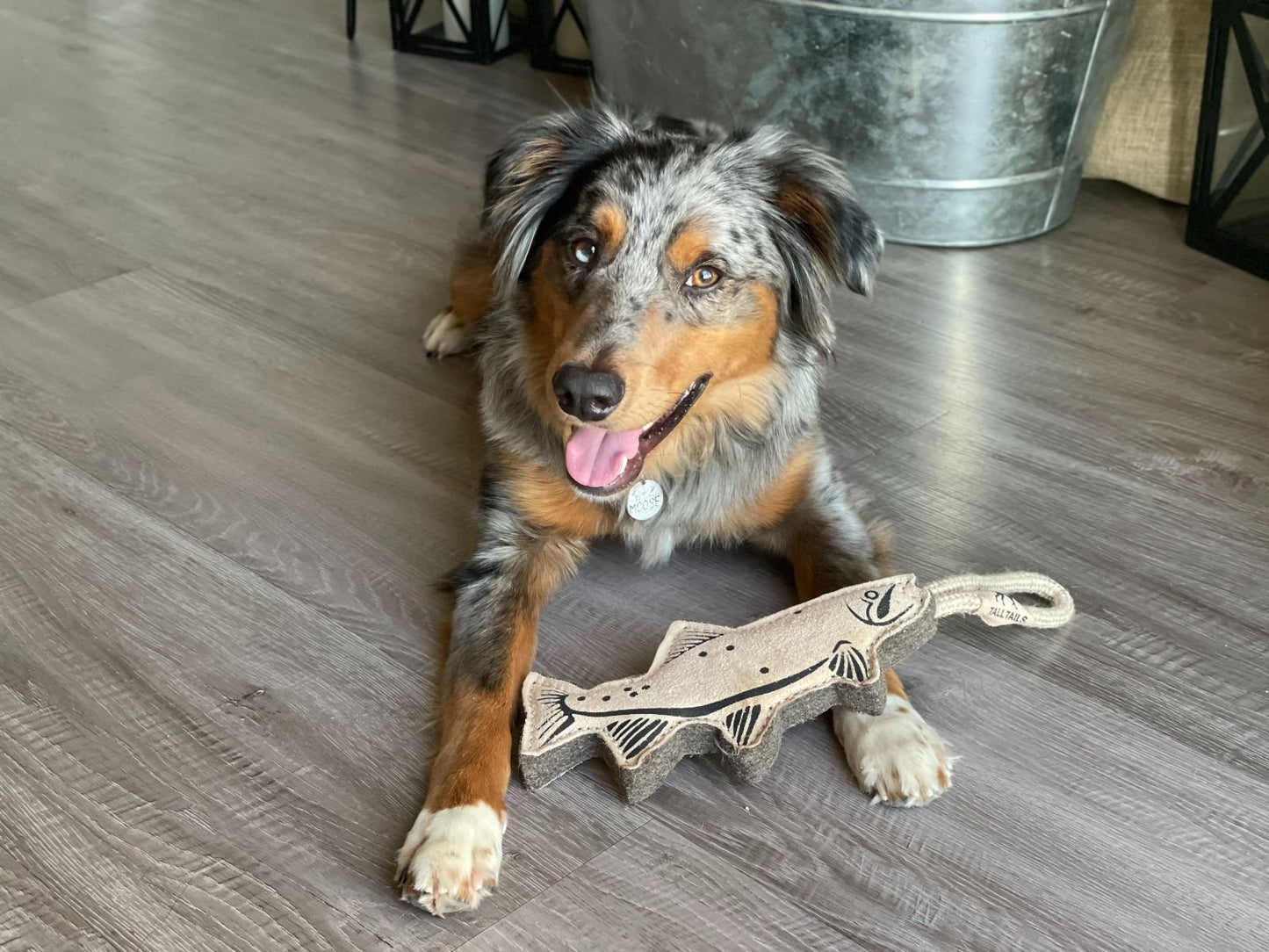 Tall Tails Leather Toys - Happy Hounds Pet Supply