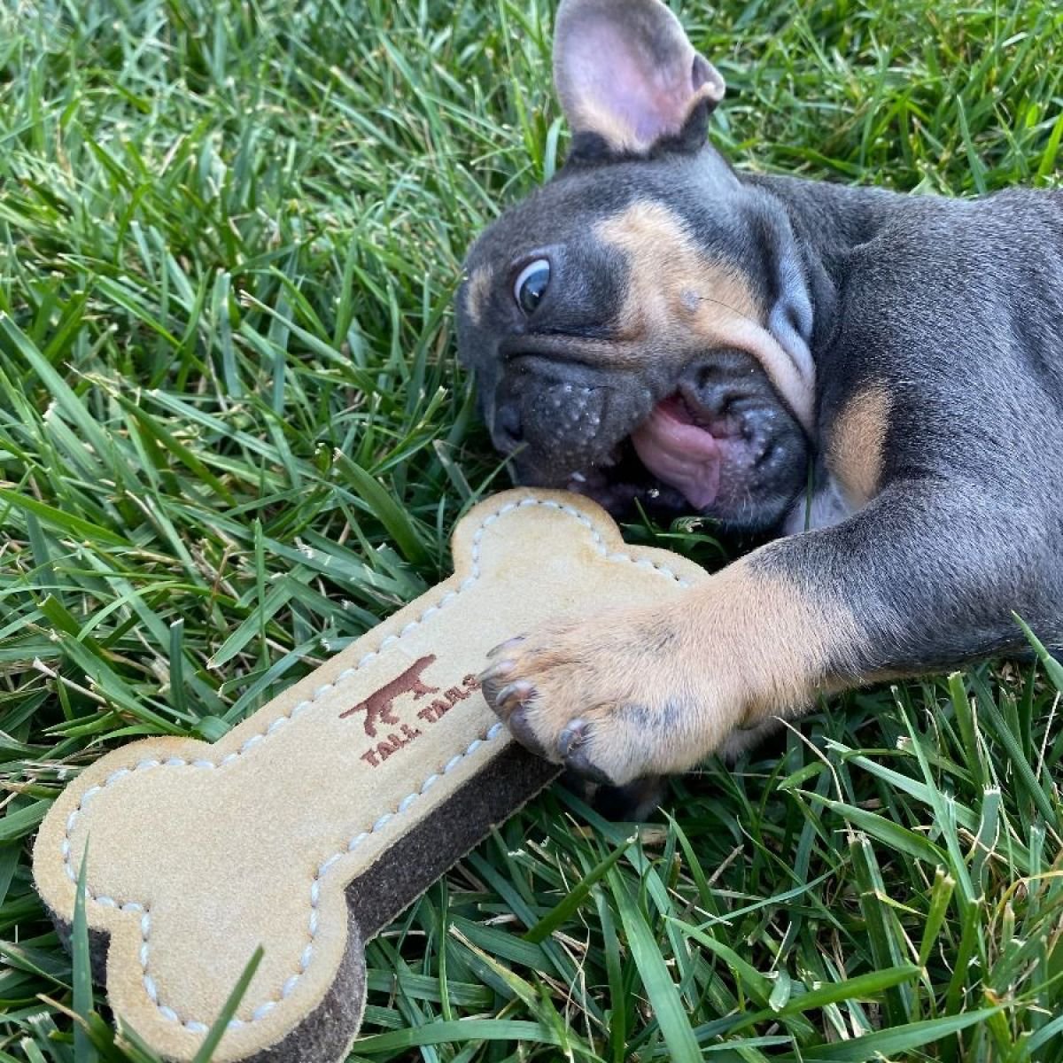 Tall Tails Leather Toys - Happy Hounds Pet Supply