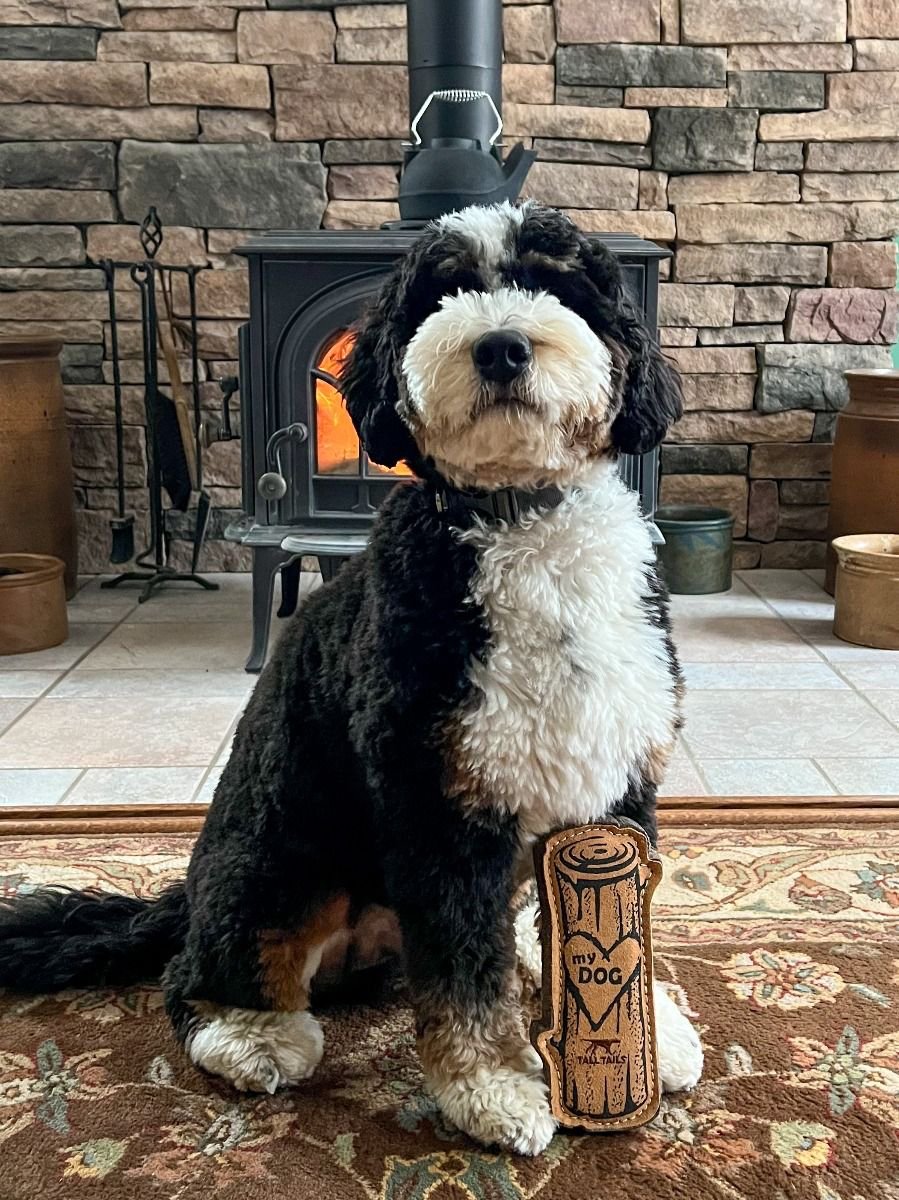 Tall Tails Leather Toys - Happy Hounds Pet Supply