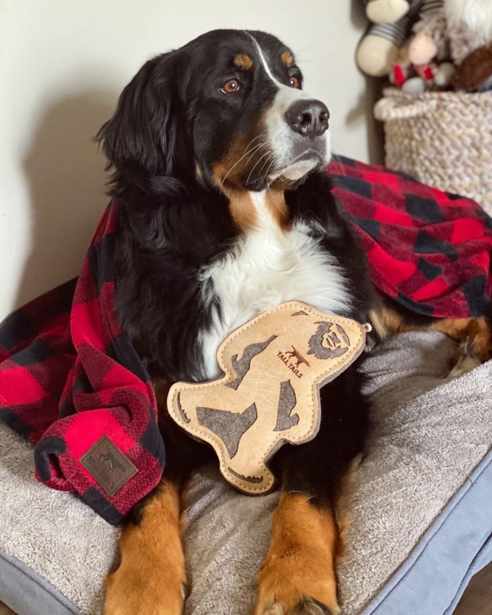 Tall Tails Leather Toys - Happy Hounds Pet Supply