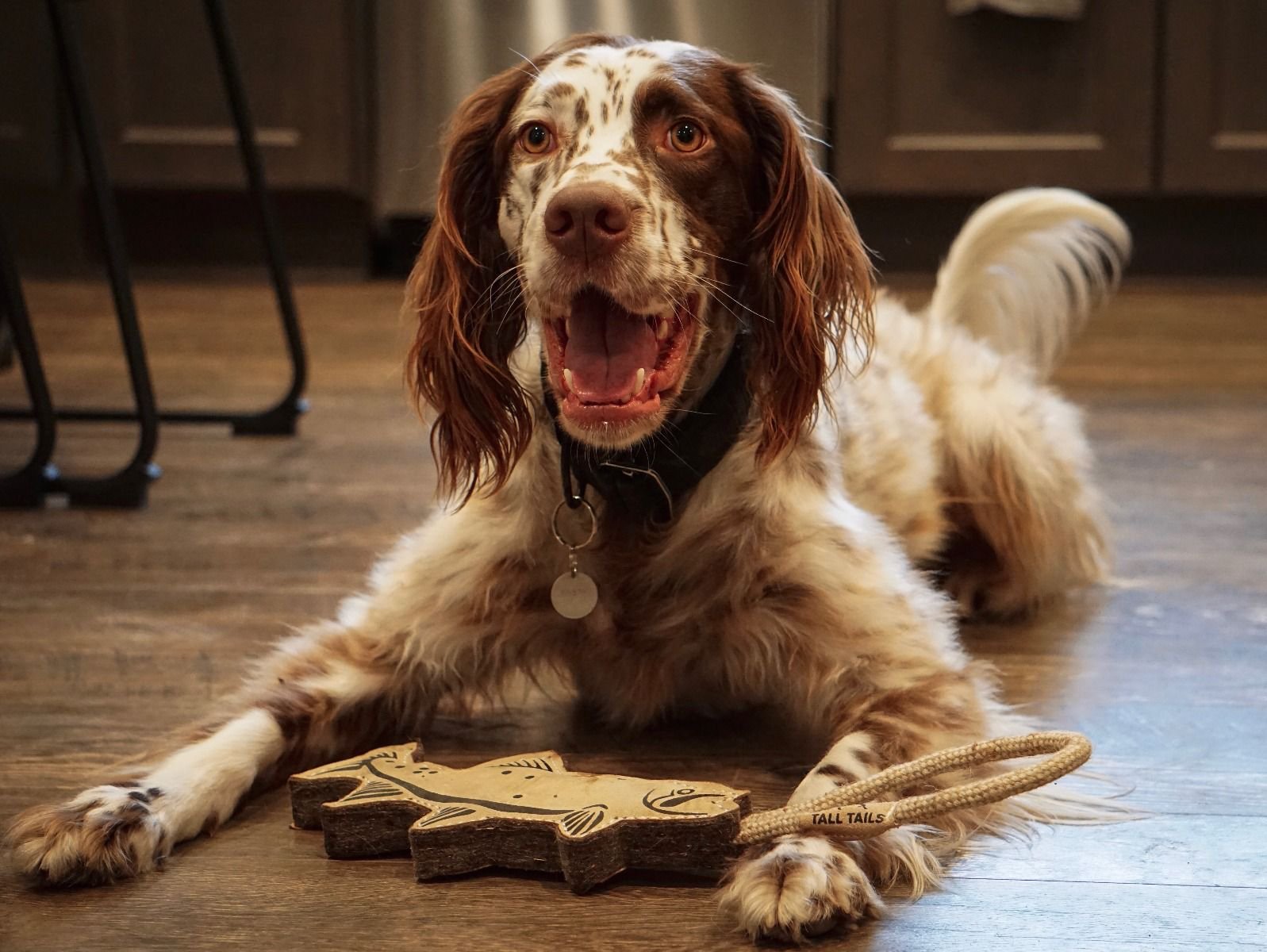 Tall Tails Leather Toys - Happy Hounds Pet Supply