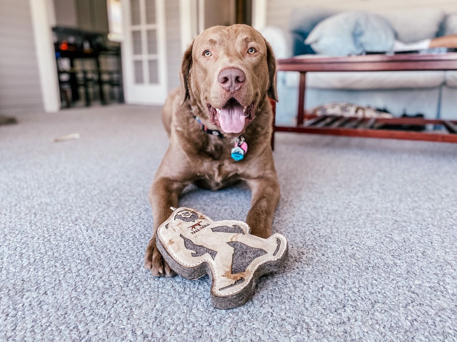 Tall Tails Leather Toys - Happy Hounds Pet Supply