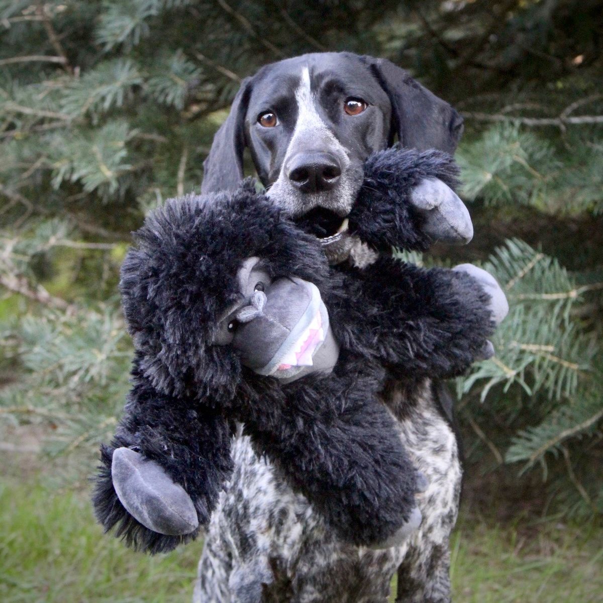 Tall Tails Rope Body Dog Toys - Happy Hounds Pet Supply