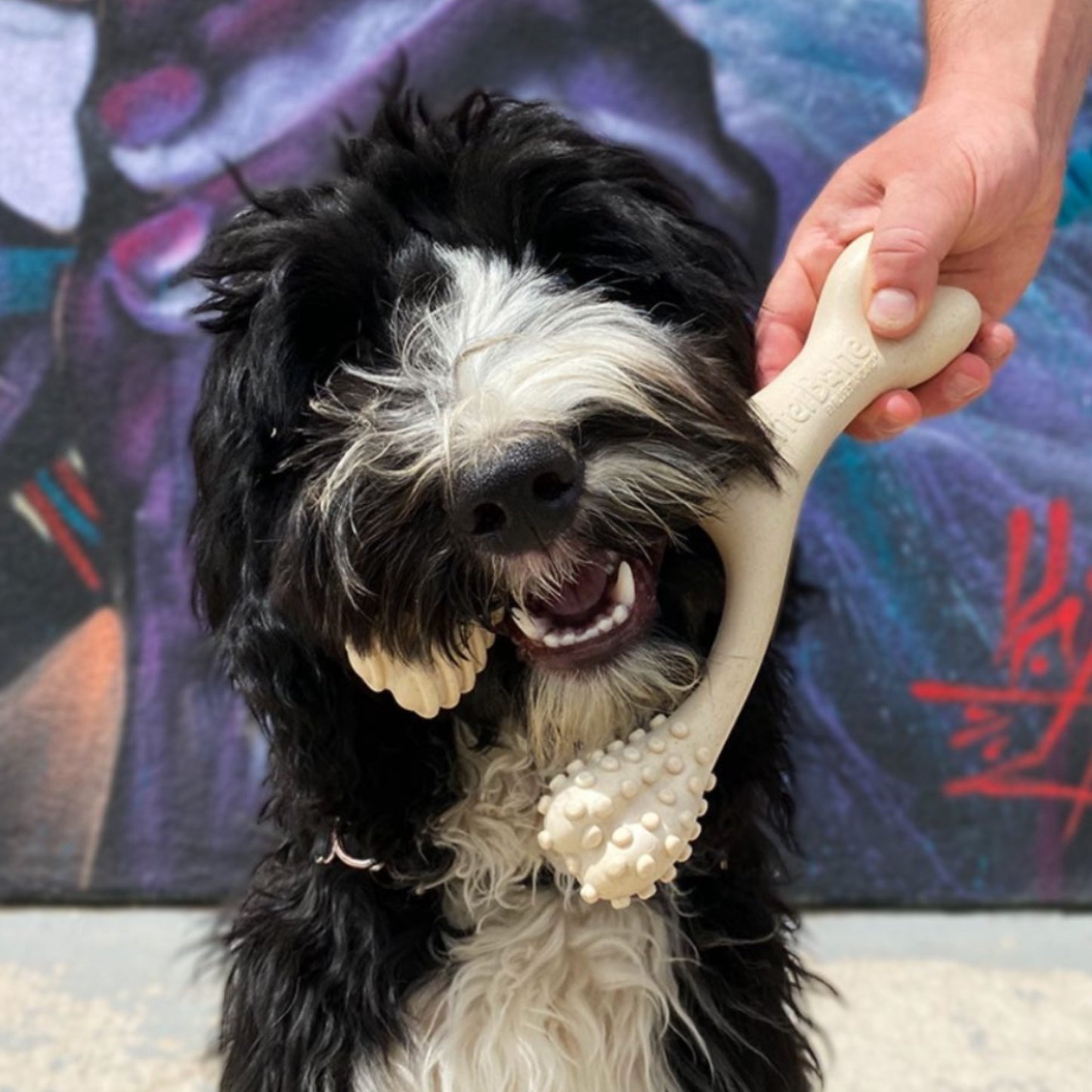 The Betterbone Tough Dog Chew