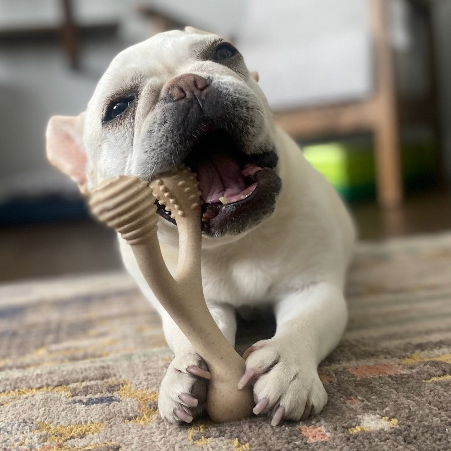 The Betterbone Tough Dog Chew