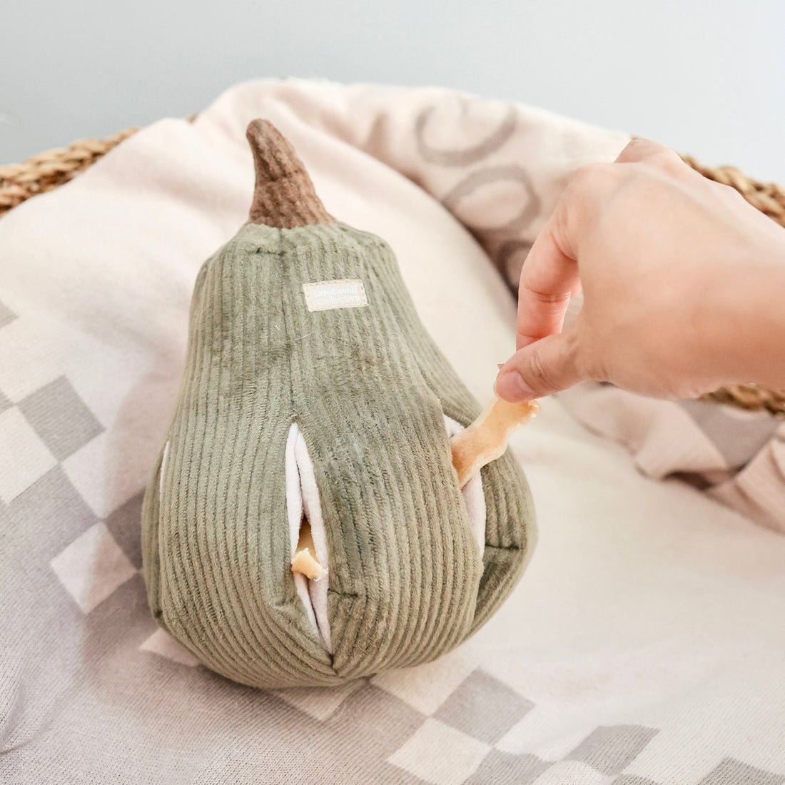 The Squash Puzzle toys