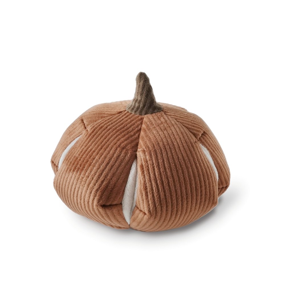 The Squash Puzzle toys Cinderella Pumpkin Large