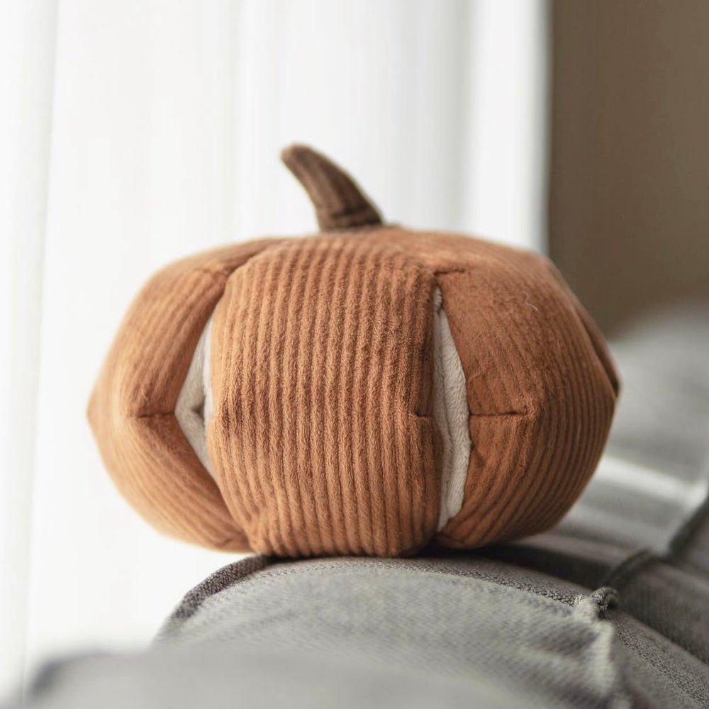 The Squash Puzzle toys
