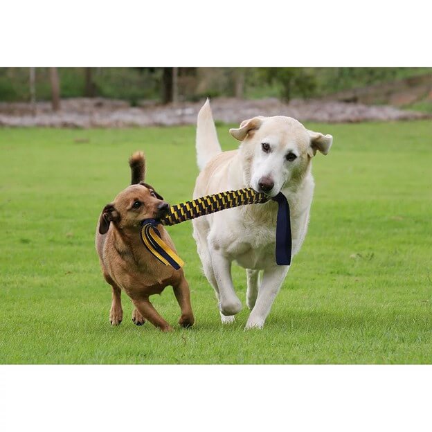 All Toys | Happy Hounds Pet Supply