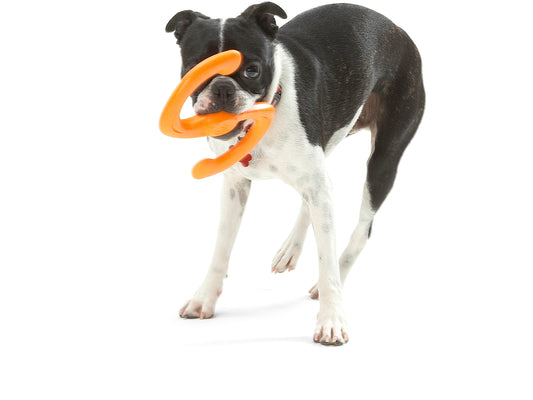 West Paw Bumi Tug Toy