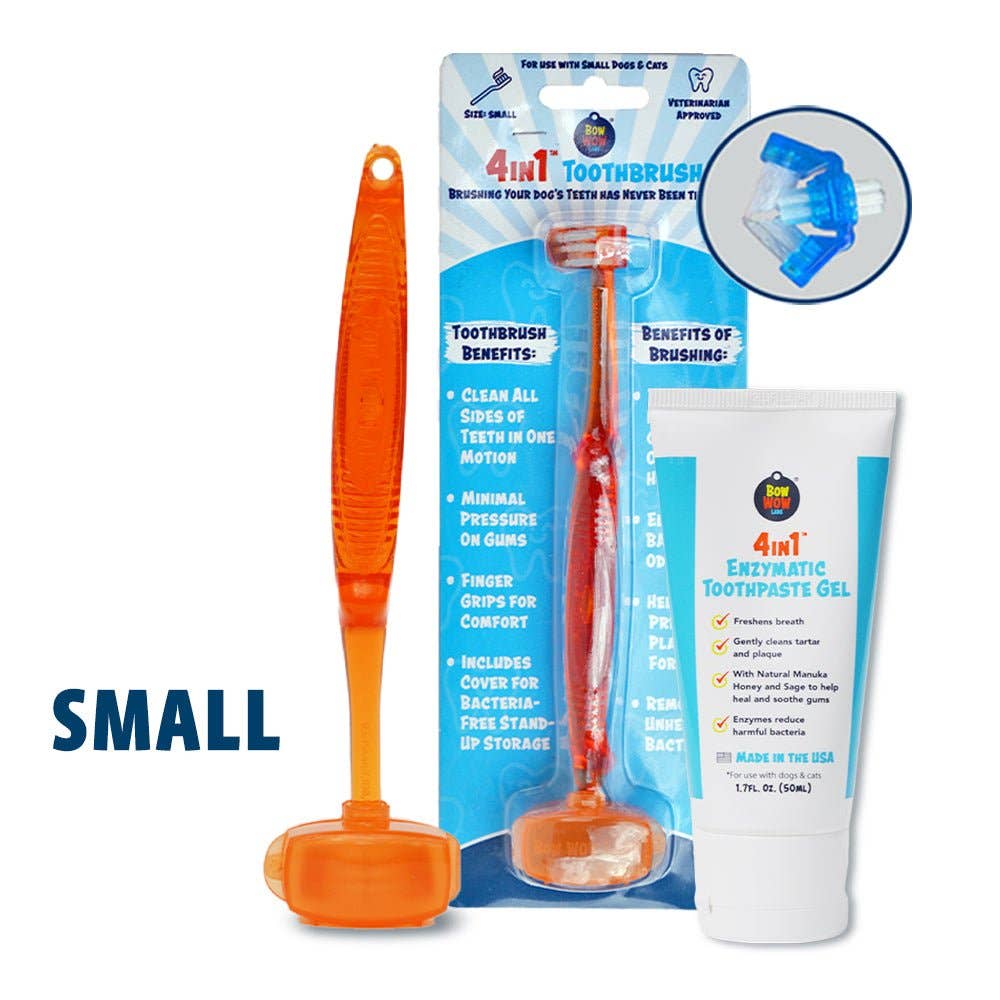 4in1 Toothbrush