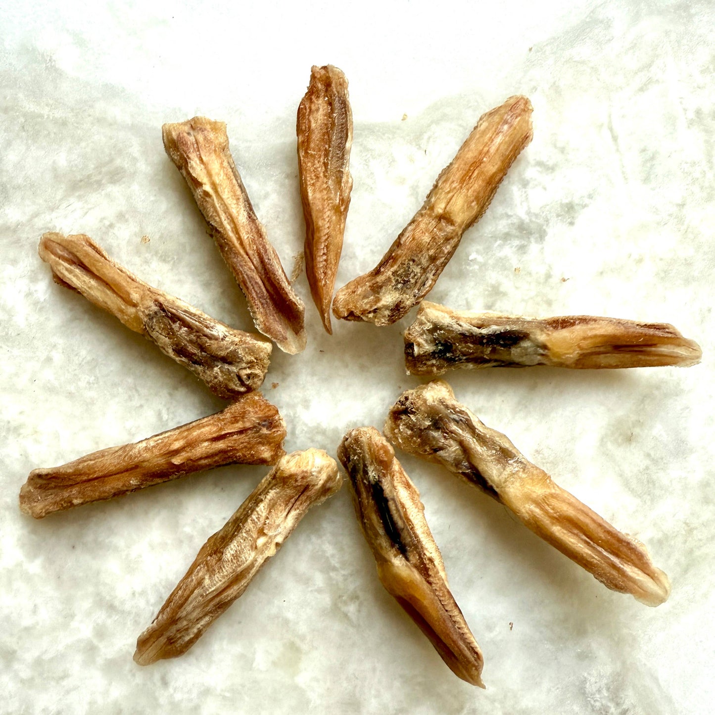 Duck Tongues