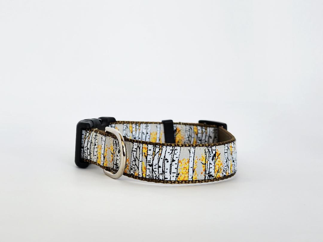Rocky Mtn Hound Aspen Tree Dog Collars and Leashes - 1" wide