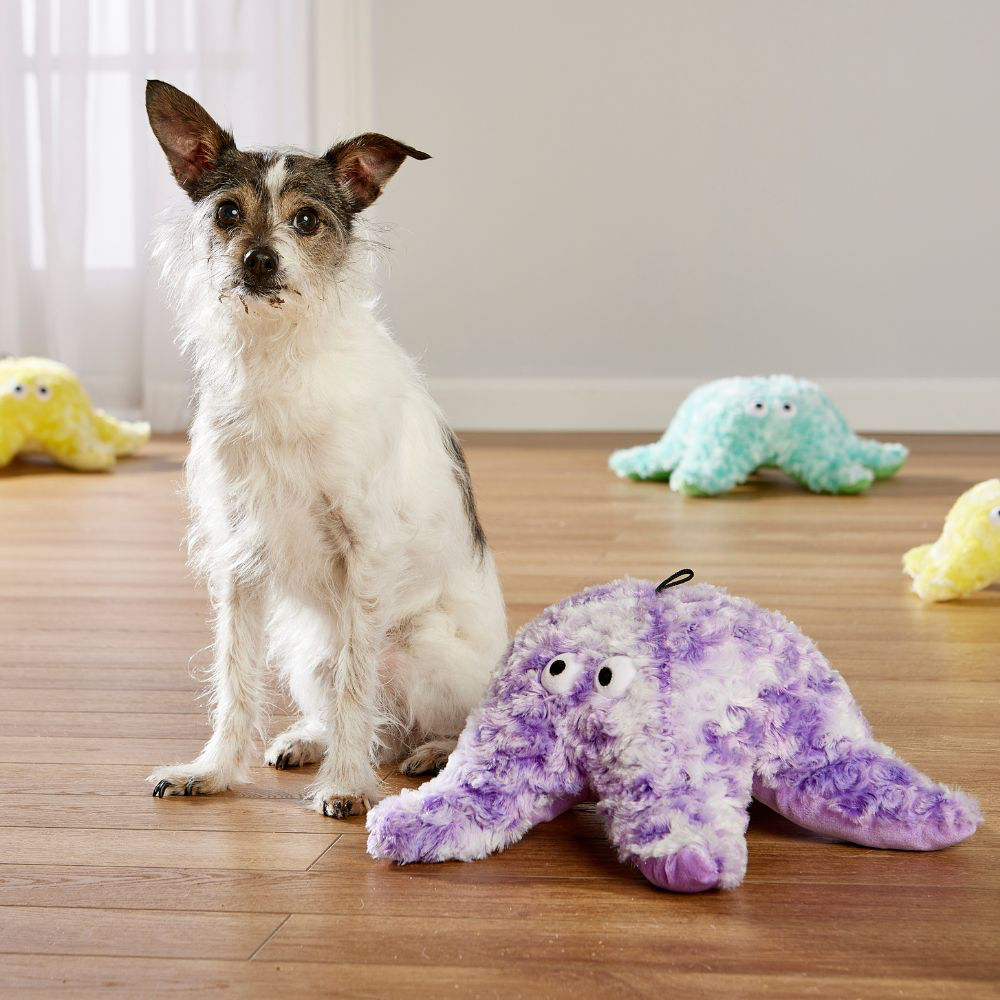 Starfish Plush Dog Toy, Reef Collection by Gor Pets