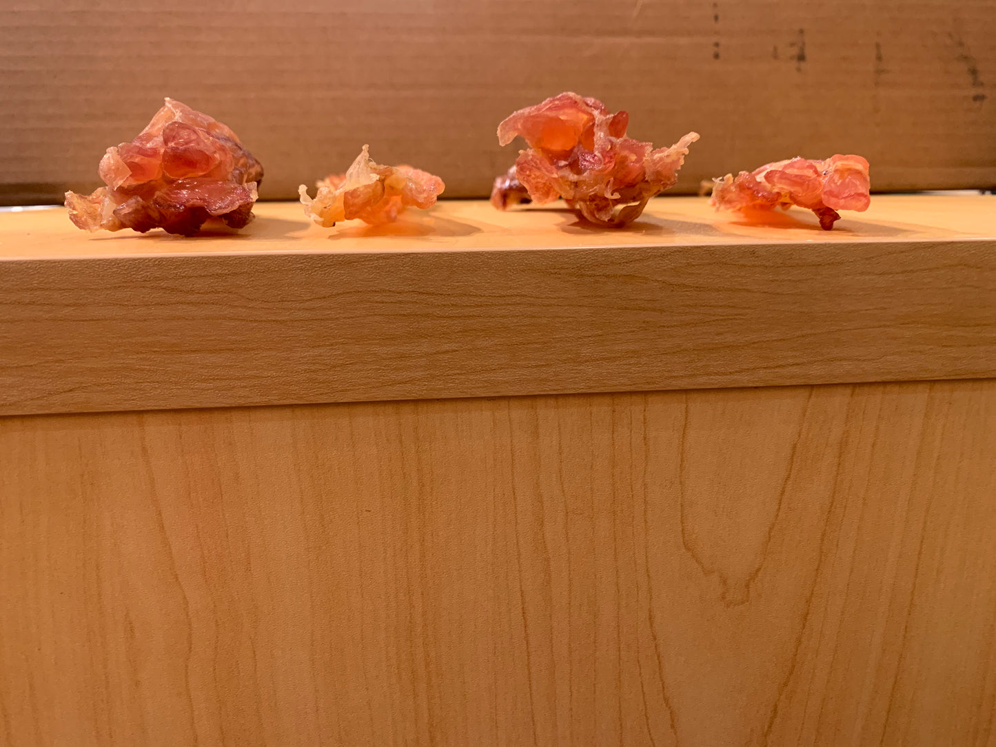 Beef Tendon Large