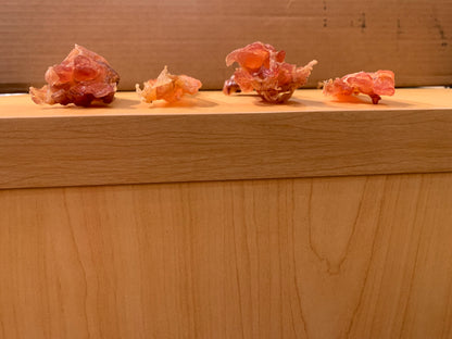 Beef Tendon Large