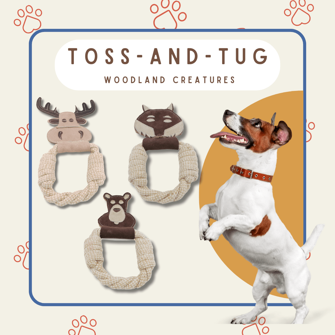 All Natural Leather and Cotton Rope Ring Tug Toy - Happy Hounds Pet Supply