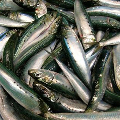 Answers Fermented Fish Stock - Happy Hounds Pet Supply