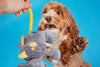 BARK Herbert the Herbivore - Happy Hounds Pet Supply