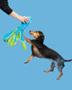 BARK Shifty Sid the Squid - Happy Hounds Pet Supply