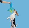 BARK Shifty Sid the Squid - Happy Hounds Pet Supply