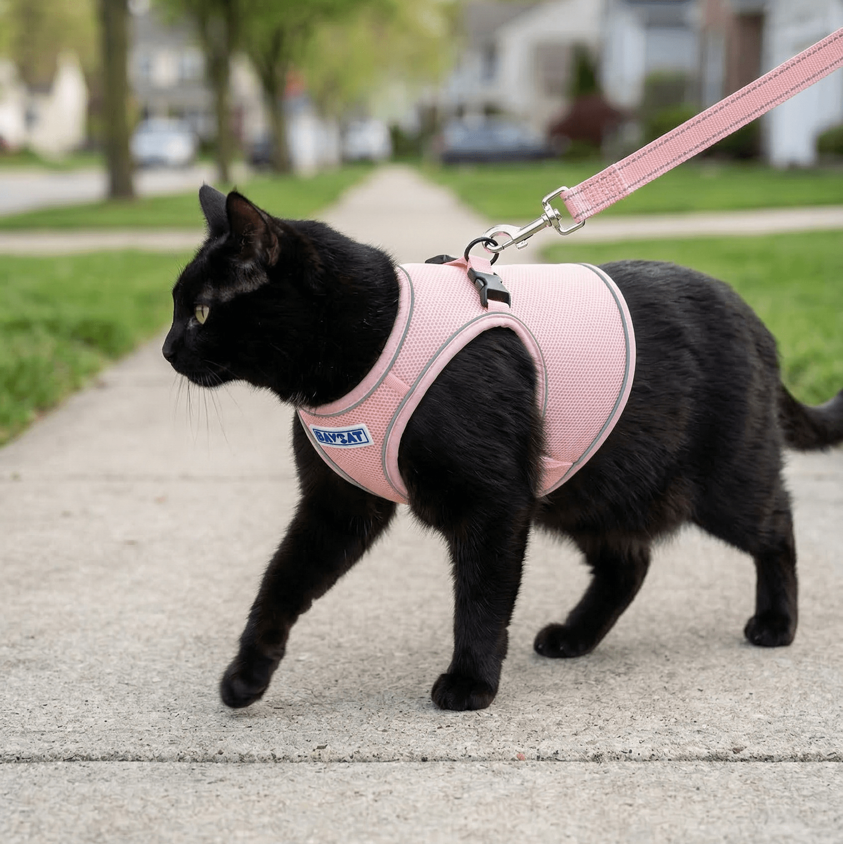 BAYCAT Cat Harness & Leash - Happy Hounds Pet Supply