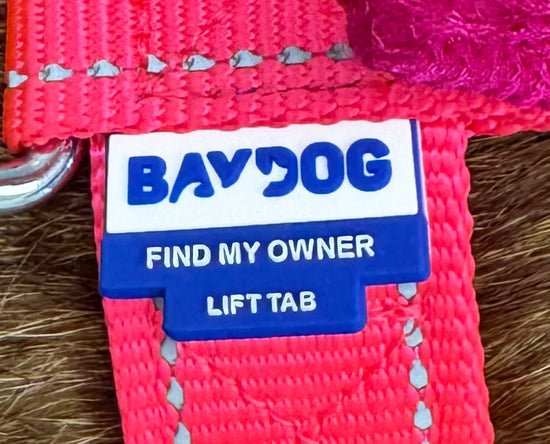 BayDog Chesapeake Harness - Happy Hounds Pet Supply