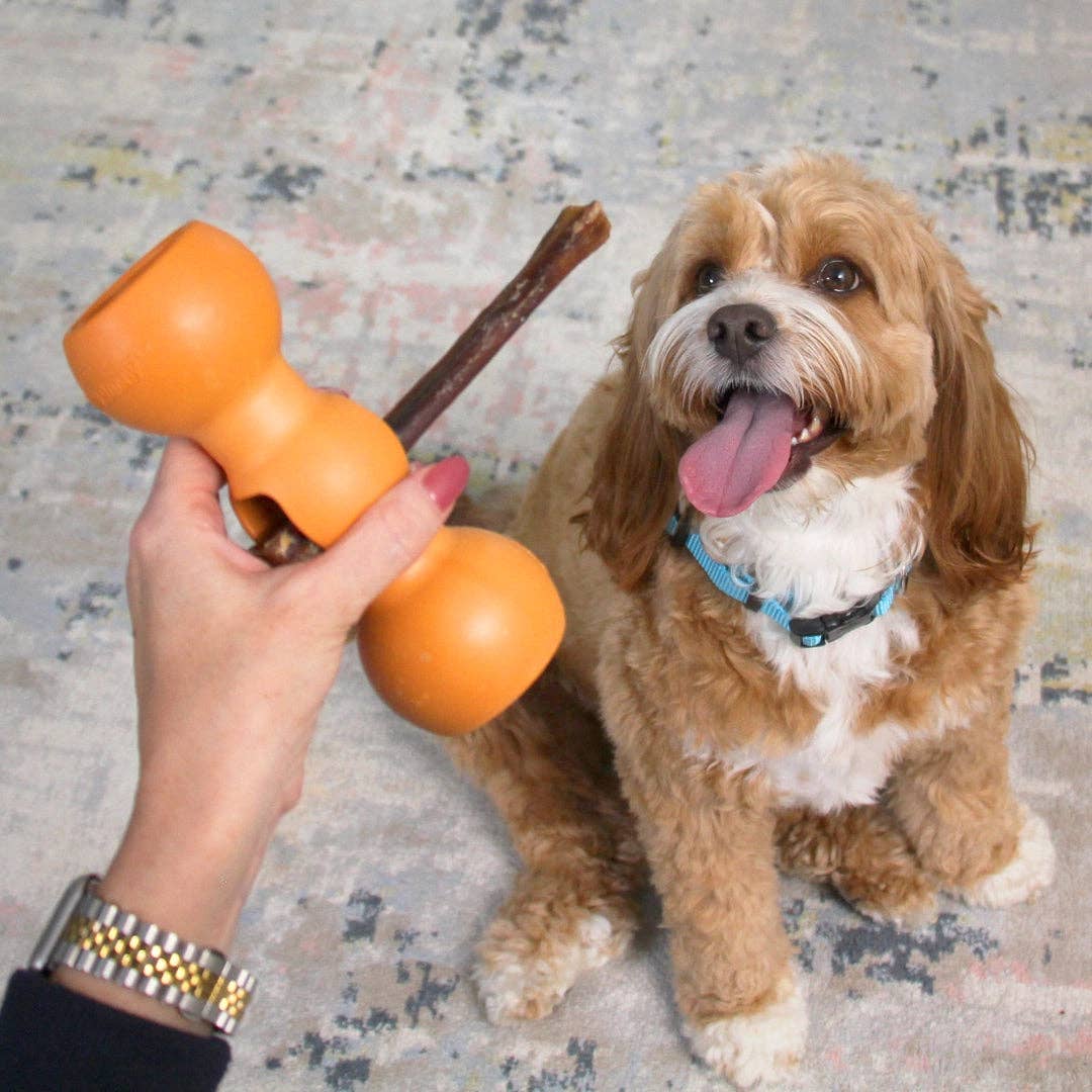 Bow Wow Buddy® Bully Stick Holder - Happy Hounds Pet Supply