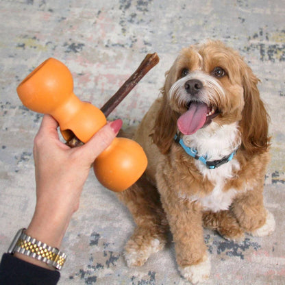 Bow Wow Buddy® Bully Stick Holder - Happy Hounds Pet Supply