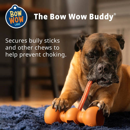 Bow Wow Buddy® Bully Stick Holder - Happy Hounds Pet Supply