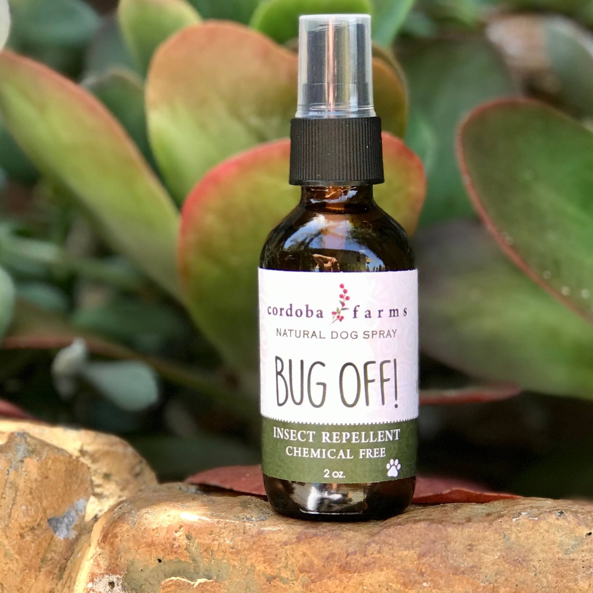 BUG OFF Insect Repelling Spray - Happy Hounds Pet Supply