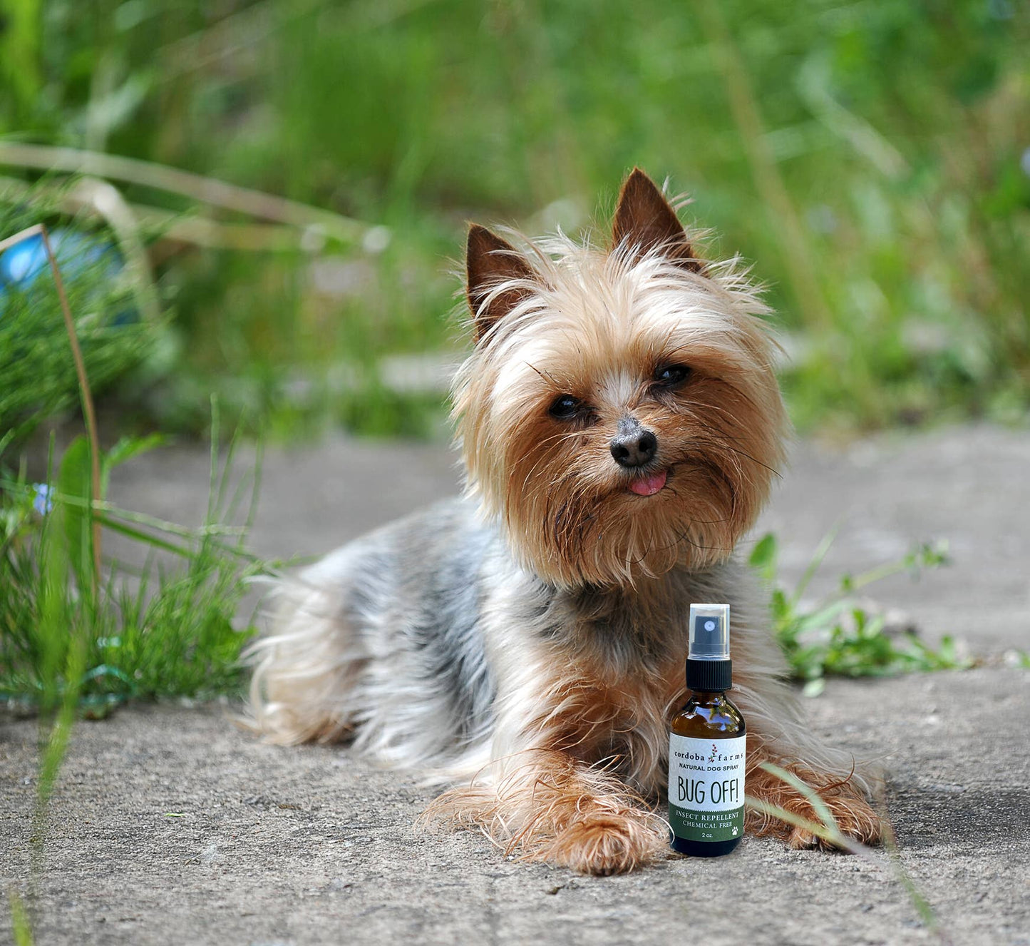 BUG OFF Insect Repelling Spray - Happy Hounds Pet Supply