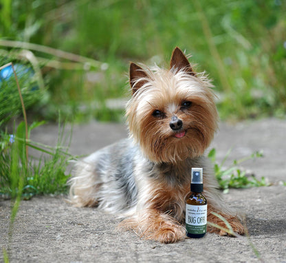 BUG OFF Insect Repelling Spray - Happy Hounds Pet Supply