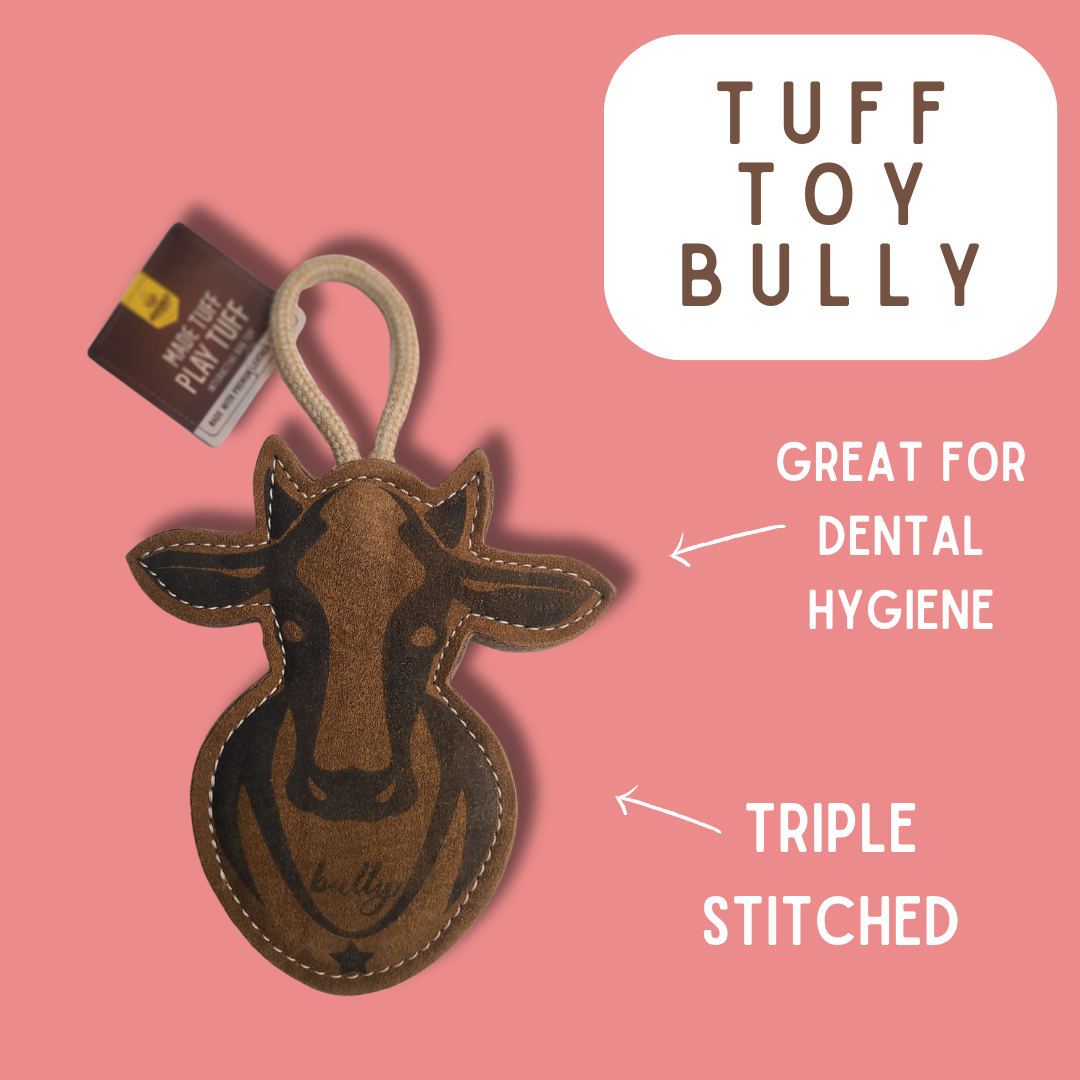 TUFF TOYS - Leather Dog Toys