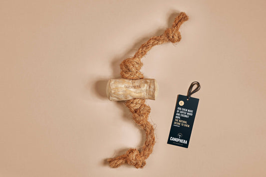 CANOPHERA LLC - Dog Chew Made of Coffee Wood and Coconut Rope. - Happy Hounds Pet Supply