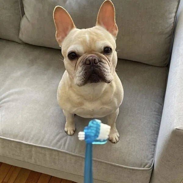 4in1 Toothbrush