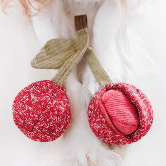 CHERRY POP//ENRICHMENT DOG TOY - Happy Hounds Pet Supply