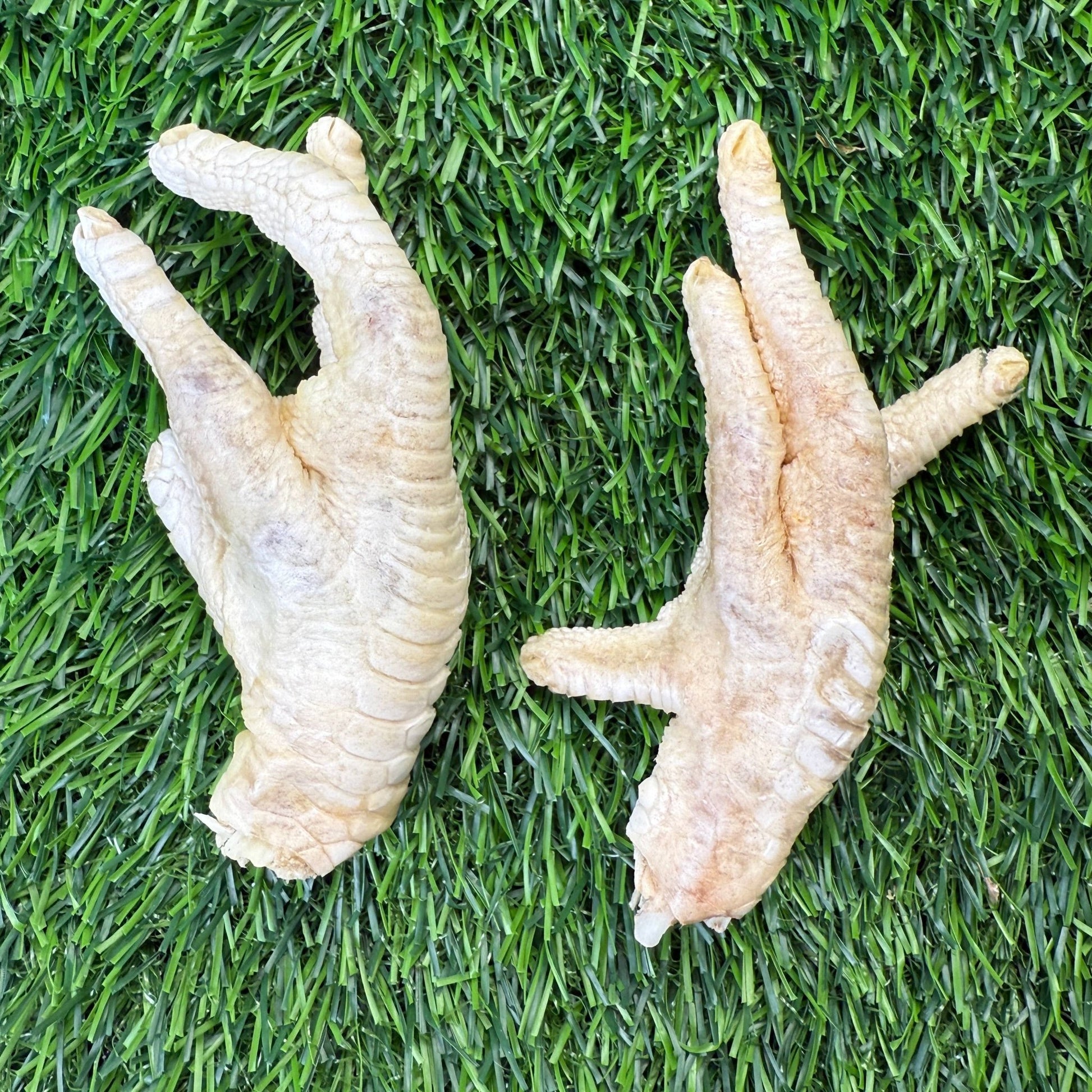 Chicken Feet - Freeze - Dried Treat for Dogs - Happy Hounds Pet Supply