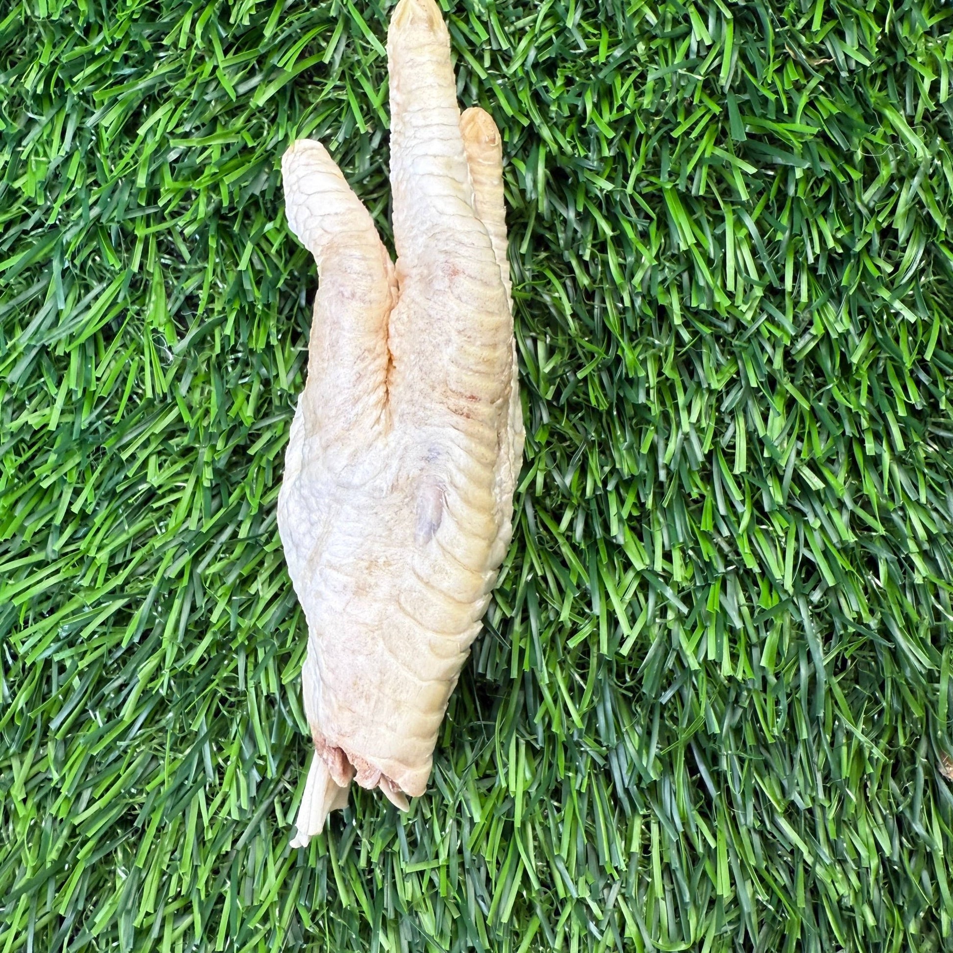 Chicken Feet - Freeze - Dried Treat for Dogs - Happy Hounds Pet Supply