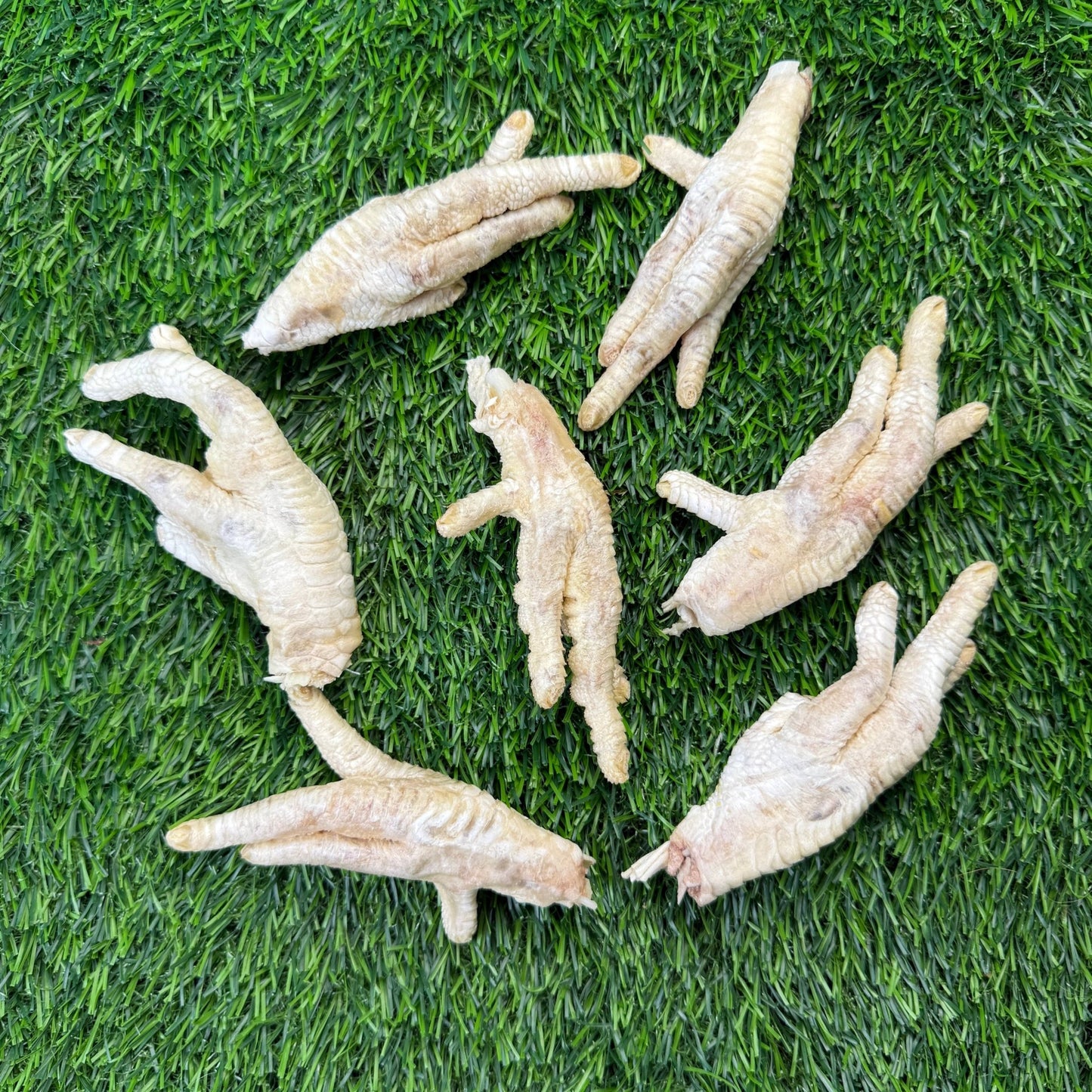 Chicken Feet - Freeze - Dried Treat for Dogs - Happy Hounds Pet Supply